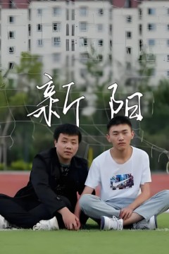 新阳2022