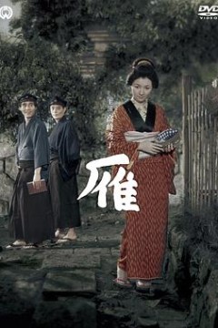 雁1953