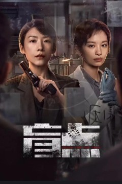 盲点2025