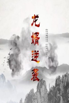 龙婿逆袭