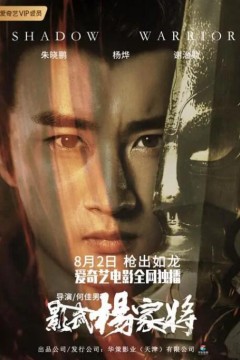 影武杨家将