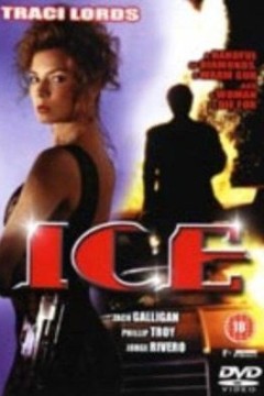 虎胆神偷