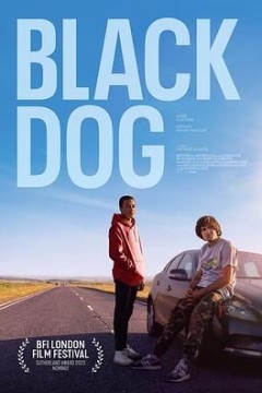黑犬