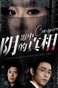 阴影中的真相
