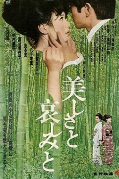 美丽与哀愁