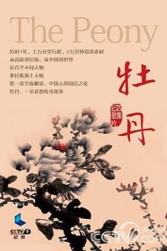 牡丹
