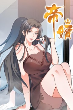 帝婿