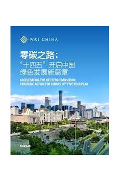 零碳之路