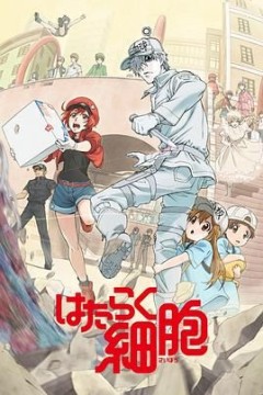 工作细胞第一季(国语版)