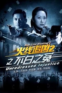 火线追凶2之不白之冤