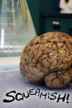 全球最恶心