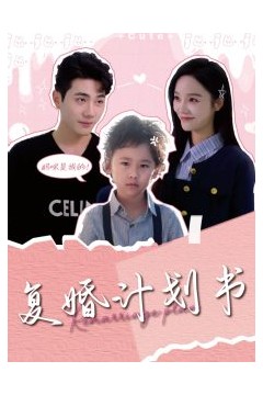 复婚计划书