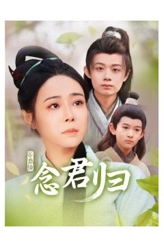 念君归