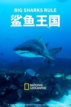 鲨鱼王国