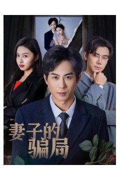 妻子的骗局