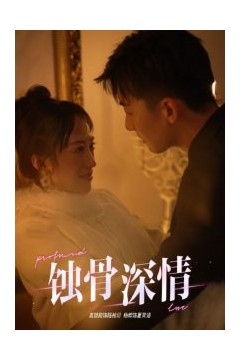 蚀骨深情