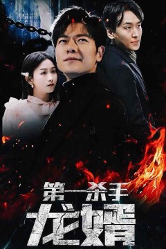 第一杀手龙婿