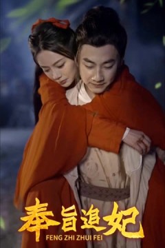 奉旨追妃
