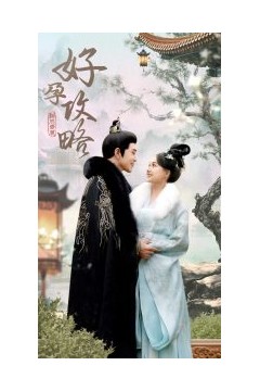 好孕攻略