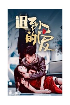 迟到的爱35集