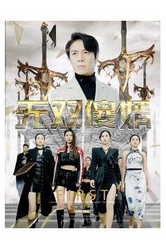 无双傻婿