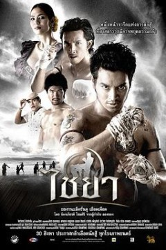 泰南拳