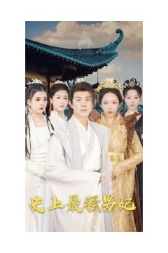 史上最强男妃