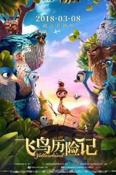 飞鸟历险记