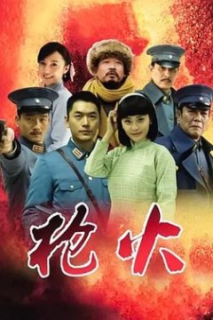 枪火2014