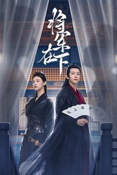 将军在下