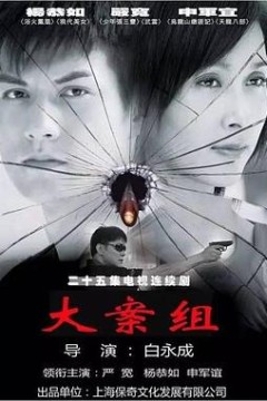 大案组