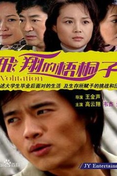 飞翔的梧桐子