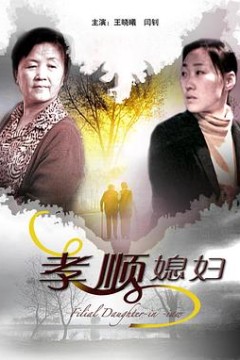 孝顺媳妇