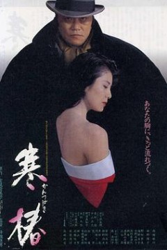 寒椿