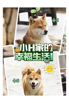 小H一家