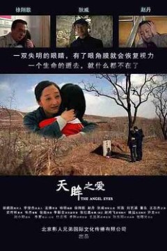 天眸之爱