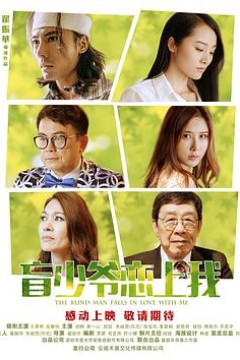 盲少爷恋上我