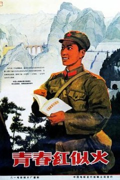 青春红似火