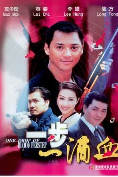虎胆侠情