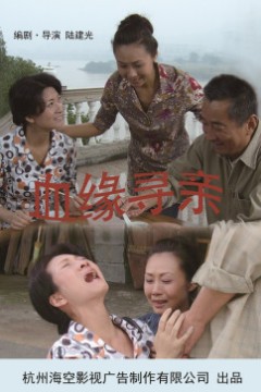 血缘寻亲