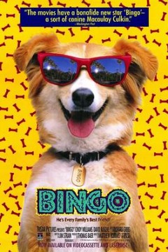 灵犬宾果