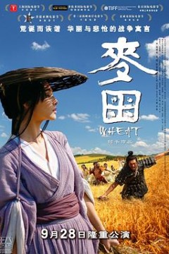 麦田