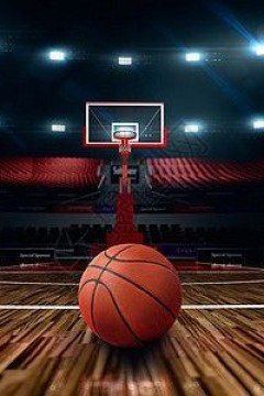 3月11日25-26赛季NBA常规赛 森林狼VS湖人