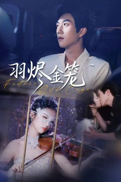羽烬金笼