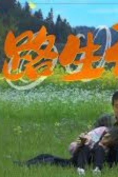 一路生花2025