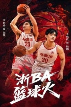 浙BA篮球火